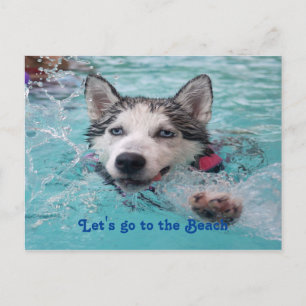 Kute Beach Dog greetings Briefkaart