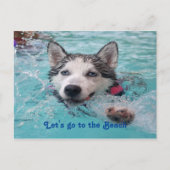 Kute Beach Dog greetings Briefkaart (Voorkant)