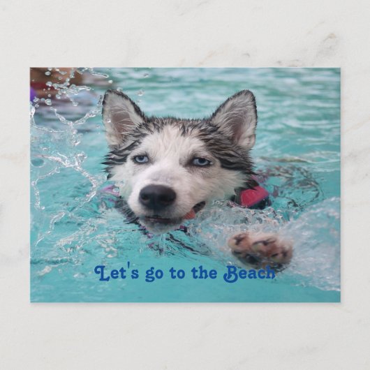 Kute Beach Dog greetings Briefkaart (Voorkant)
