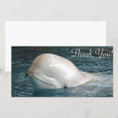 Kute Beluga-walvis Schetsen uit de pool Bedankkaart (Voorkant / Achterkant)