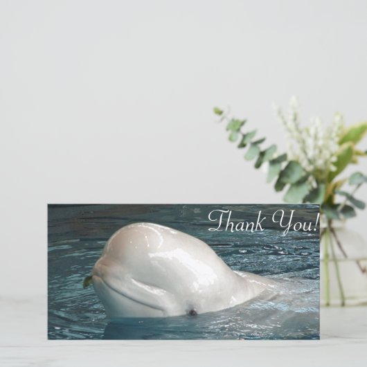 Kute Beluga-walvis Schetsen uit de pool Bedankkaart (Staand voorkant)