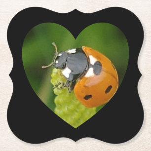 Kute Big Ladybug in een onderzetter op het hartple
