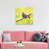 Kute bird zingt gelukkig in een zomerdag canvas afdruk (Insitu (Woonkamer))