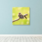 Kute bird zingt gelukkig in een zomerdag canvas afdruk (Insitu (Houten vloer))