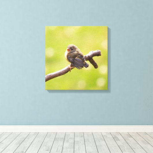 Kute bird zingt gelukkig in een zomerdag canvas afdruk (Insitu (Houten vloer))