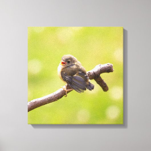 Kute bird zingt gelukkig in een zomerdag canvas afdruk (Voorkant)