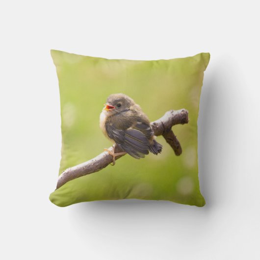 Kute bird zingt gelukkig in een zomerdag kussen (Voorkant)