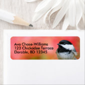 Kute Black-Capped Chickadee Songbird on Apple Tree Etiket (Insitu)