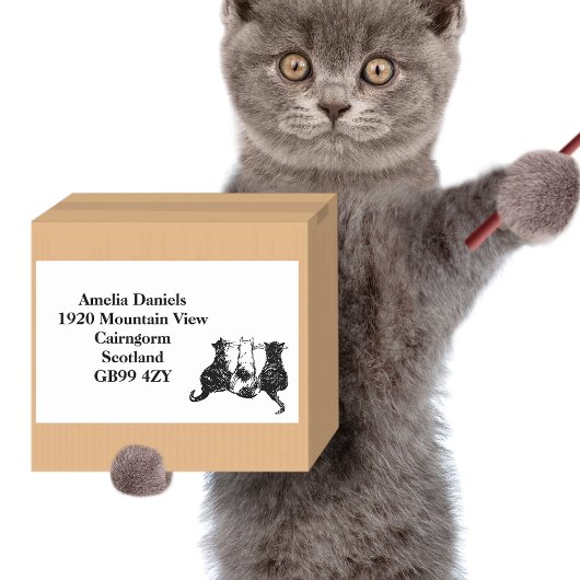 Kute Black en White Cats Return Address Rechthoekige Sticker