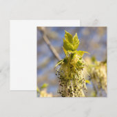 Kute bladeren op lentfoto (Voorkant / Achterkant)