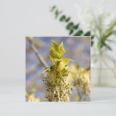 Kute bladeren op lentfoto (Staand voorkant)
