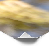 Kute bladeren op lentfoto perfect poster (Hoek)