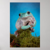 Kute Blue Fase Whites Tree Kikker glimlachen Poster (Voorkant)