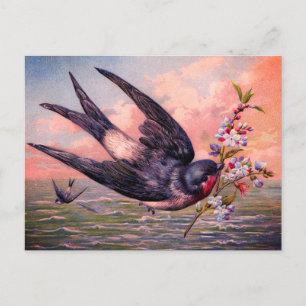Kute Blue Oranje Swallow Bird en  Flowers Briefkaart