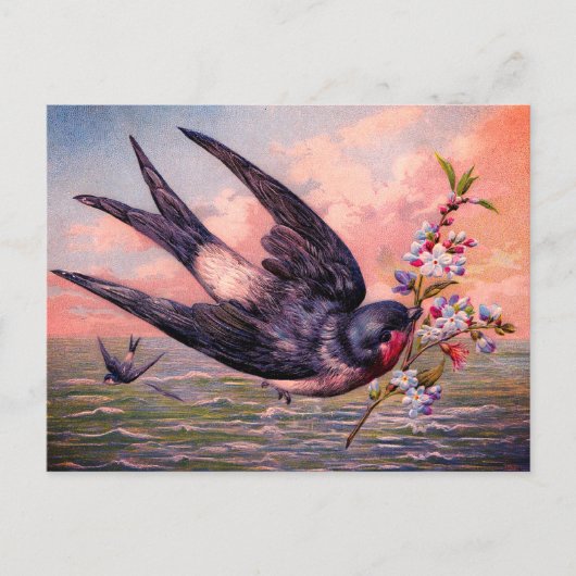 Kute Blue Oranje Swallow Bird en Flowers Briefkaart (Voorkant)