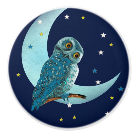 Kute Blue Owl met maan en sterren Keramische Knop (Voorkant)