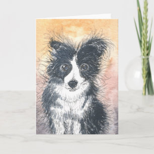 Kute border Collie Card, voor liefhebbers van coll Kaart