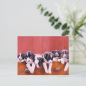 Kute Border Collie Puppies Briefkaart (Staand voorkant)