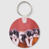 Kute Border Collie Puppies Sleutelhanger (Voorkant)