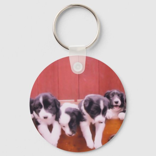 Kute Border Collie Puppies Sleutelhanger (Voorkant)