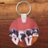 Kute Border Collie Puppies Sleutelhanger (Voorkant)