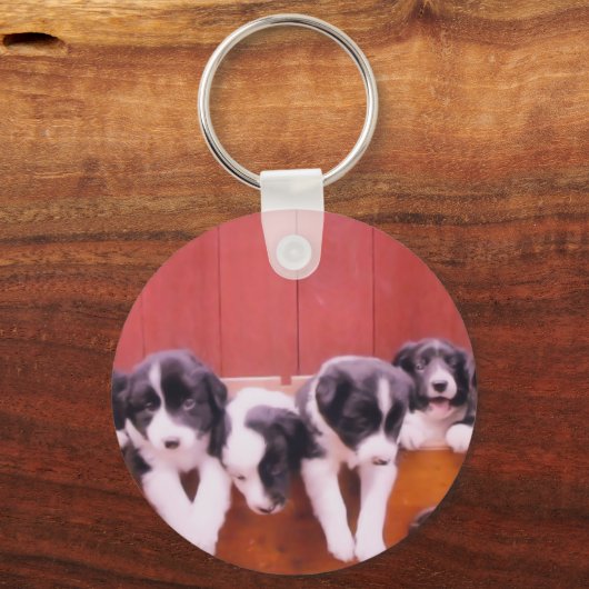 Kute Border Collie Puppies Sleutelhanger (Voorkant)