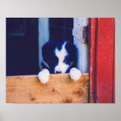 Kute border Collie Puppy Oil Painting Poster (Voorkant)