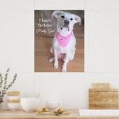 Kute Bright Eyes White Dog Wearing Pink Birthday Poster (Keuken)