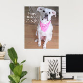 Kute Bright Eyes White Dog Wearing Pink Birthday Poster (Thuiskantoor)