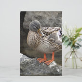 Kute bruine eend briefpapier (Staand voorkant)