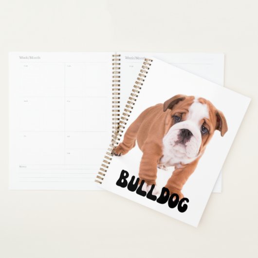 Kute Bulldog Puppy Calendar Planner (Display)