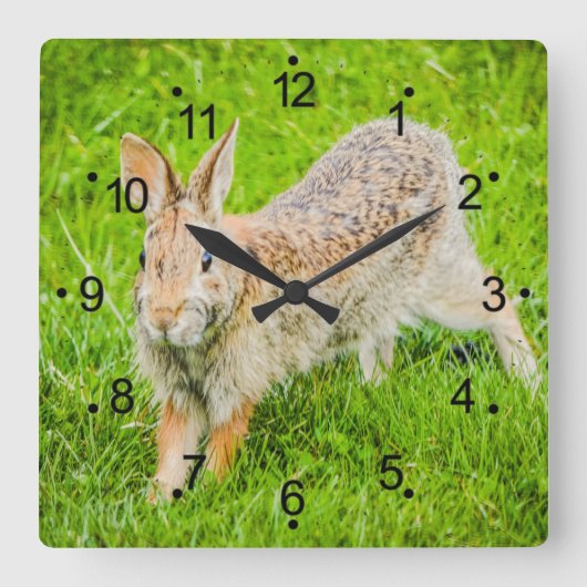 Kute Bunny Rabbit Wilde Dieren Square Wall Clock Vierkante Klok (Voorkant)