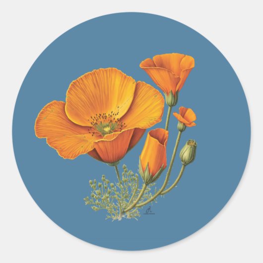Kute California Poppy Flower  Sticker Blad (Voorkant)