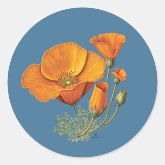 Kute California Poppy Flower  Sticker Blad (Voorkant)