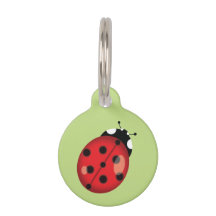 Kute Cartoon Ladybug on Green with Dog's Info