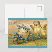 Kute  Chick Easter Greetings Briefkaart (Voorkant / Achterkant)