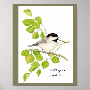 Kute Chickadee Bird in Poplar Tree Sweet-vriendeli Poster