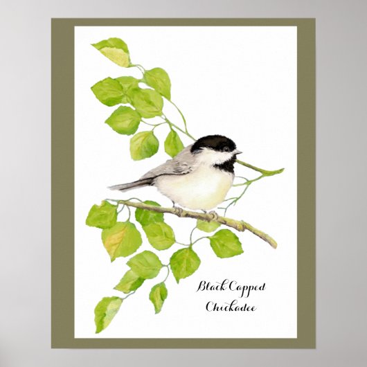 Kute Chickadee Bird in Poplar Tree Sweet-vriendeli Poster (Voorkant)