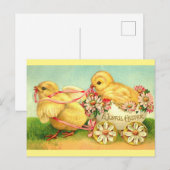 Kute  Chicks Joyful Easter Greetings Briefkaart (Voorkant / Achterkant)