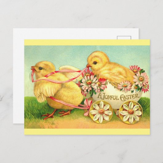 Kute  Chicks Joyful Easter Greetings Briefkaart (Voorkant / Achterkant)