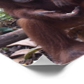 Kute Classroom Rule met dank Poster (Hoek)