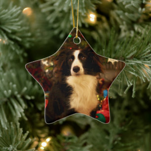 Kute collie en kerstboom keramisch ornament