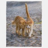 Kute Companioned Kittens lopen hetzelfde pad - zac Fleece Deken (Voorkant)