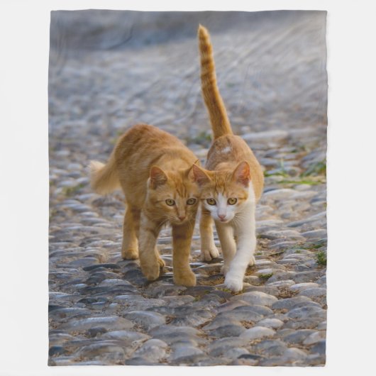 Kute Companioned Kittens lopen hetzelfde pad - zac Fleece Deken (Voorkant)