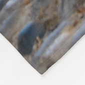 Kute Companioned Kittens lopen hetzelfde pad - zac Fleece Deken (Hoek)