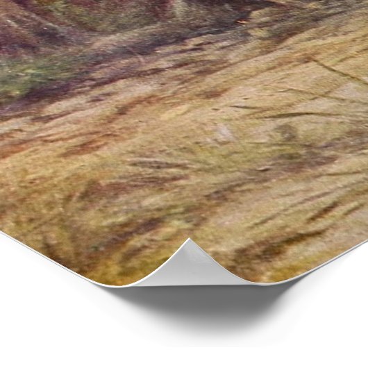 Kute Country  Kippen poster (Hoek)