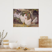 Kute Country  Kippen poster (Keuken)