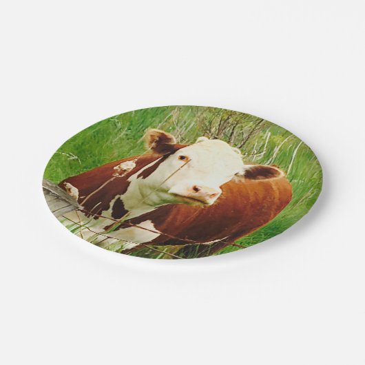 Kute Cudly Koe Paper Bord (Gekanteld)