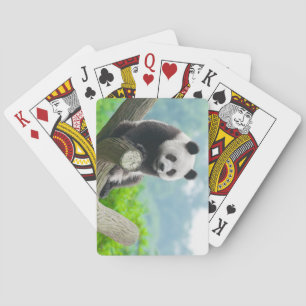 Kute Cudly Panda Beer Zitten op een boomafdeling Pokerkaarten