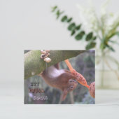 Kute danglende eekhoorn krijg snel Briefkaart (Staand voorkant)